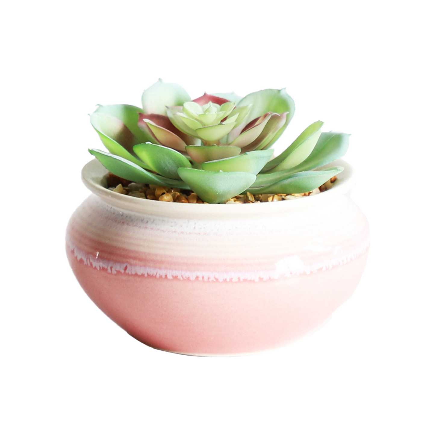 KA818A51-Artificial succulents in art pot-11x11x9cm