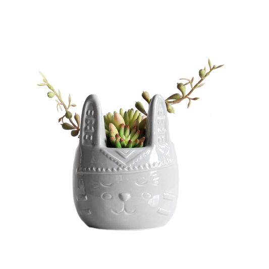KA818A52-Artificial succulents in art pot-10x10x17cm