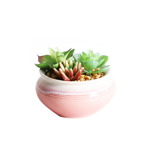 KA818A53-Artificial succulents in art pot-12x12x9cm