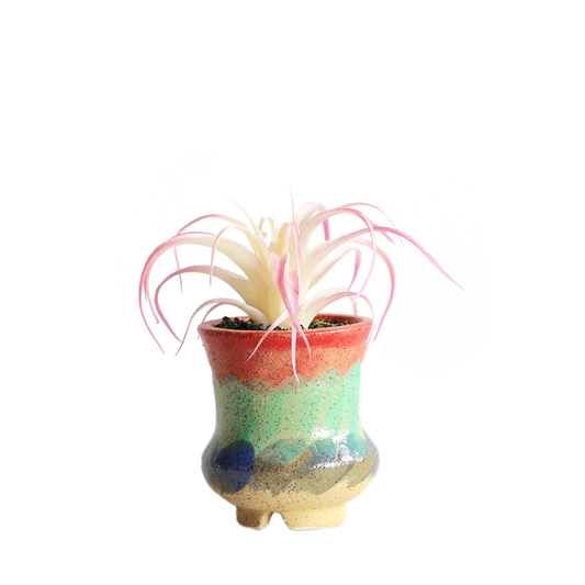 KA818A54-Artificial succulents in art pot-9x9x14cm