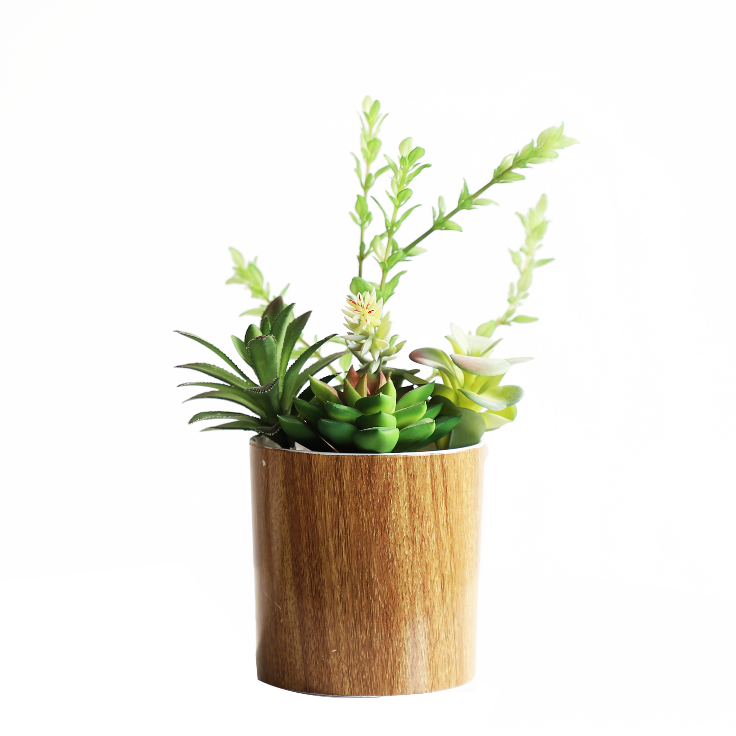 KA818A56-Artificial succulents in art pot-12x12x23cm