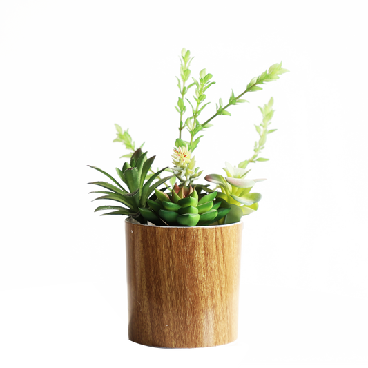 KA818A56-Artificial succulents in art pot-12x12x23cm