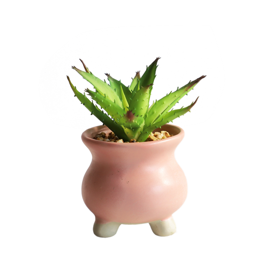 KA818A59-Artificial succulents in art pot-10x10x14cm