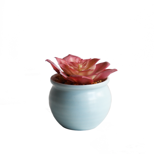 KA818A60-Artificial succulents in art pot-8x8x8cm