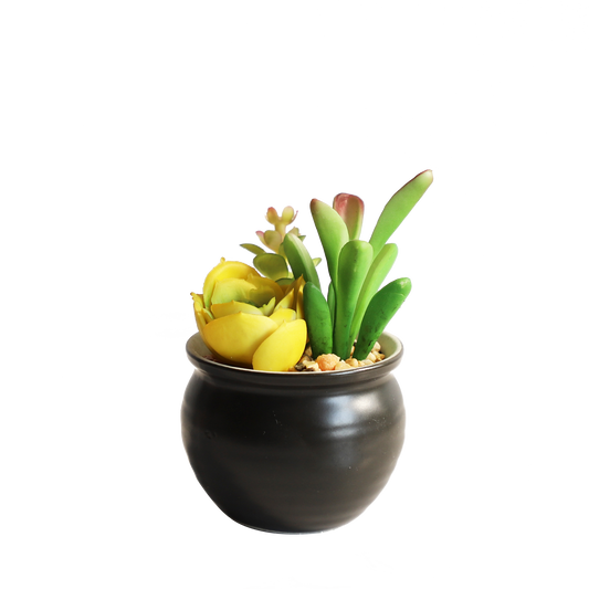 KA818A62-Artificial succulents in art pot-7x7x12cm