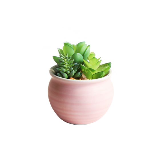 KA818A63-Artificial succulents in art pot-8x8x9cm