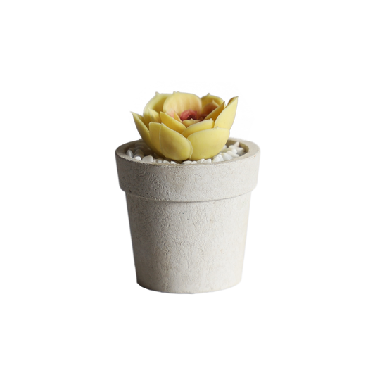 KA818A64-Artificial succulents in art pot-7x7x9cm