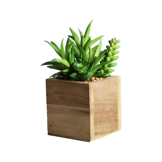 KA818A66-Artificial succulents in art pot-8x8x15cm