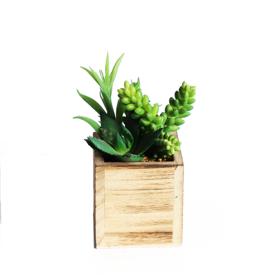 KA818A67-Artificial succulents in art pot-8x8x15cm