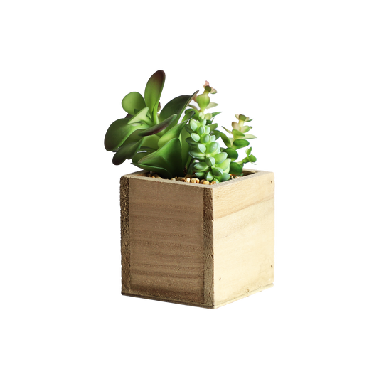 KA818A68-Artificial succulents in art pot-8x8x15cm