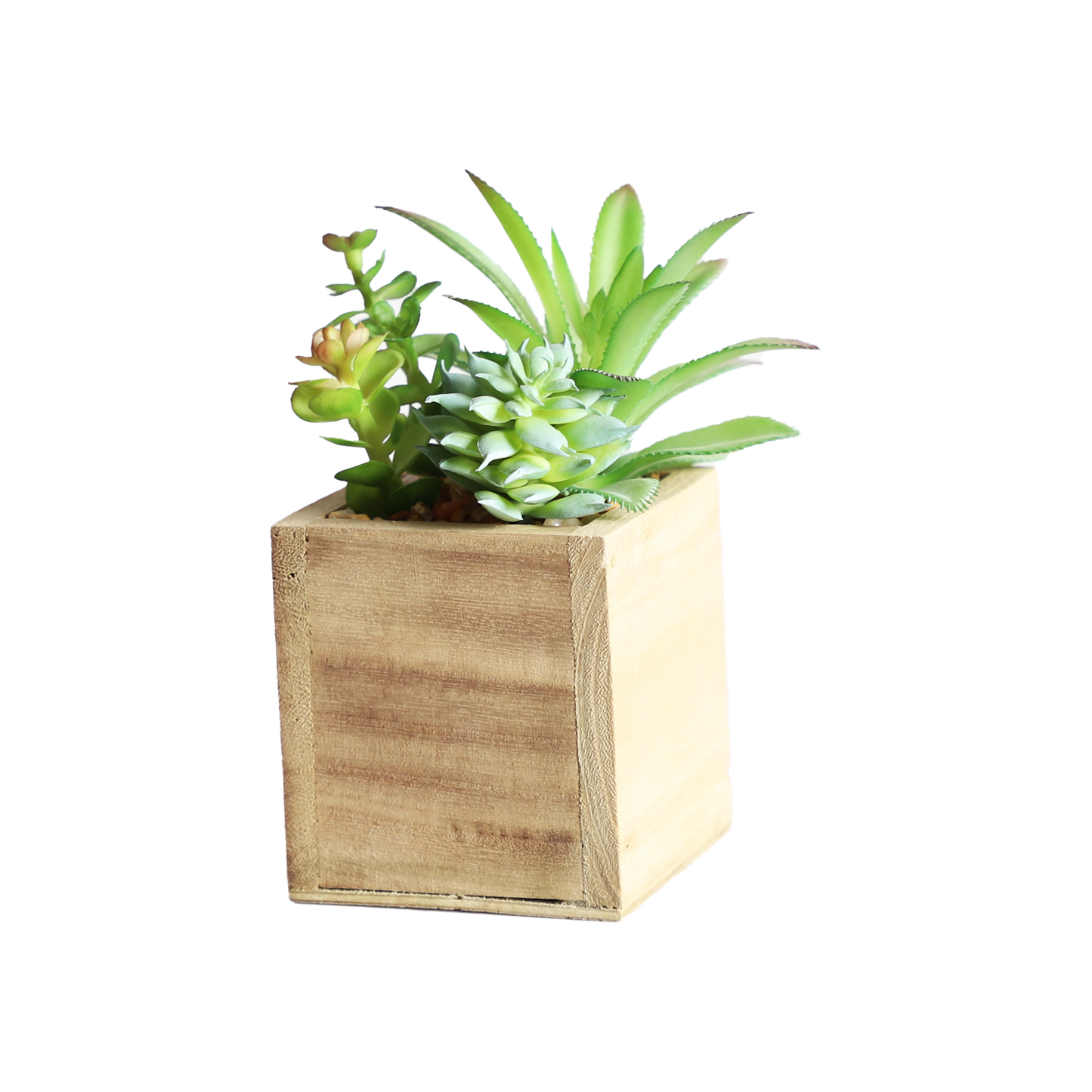KA818A69-Artificial succulents in art pot-8x8x15cm