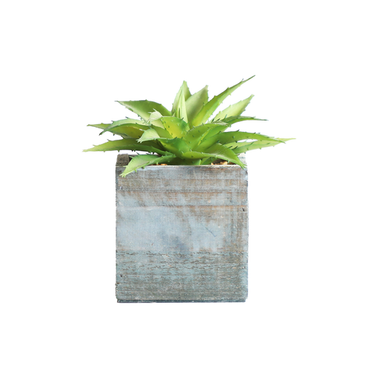 KA818A70-Artificial succulents in art pot-9x9x13cm