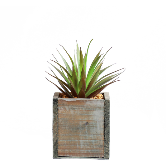 KA818A71-Artificial succulents in art pot-9x9x15cm