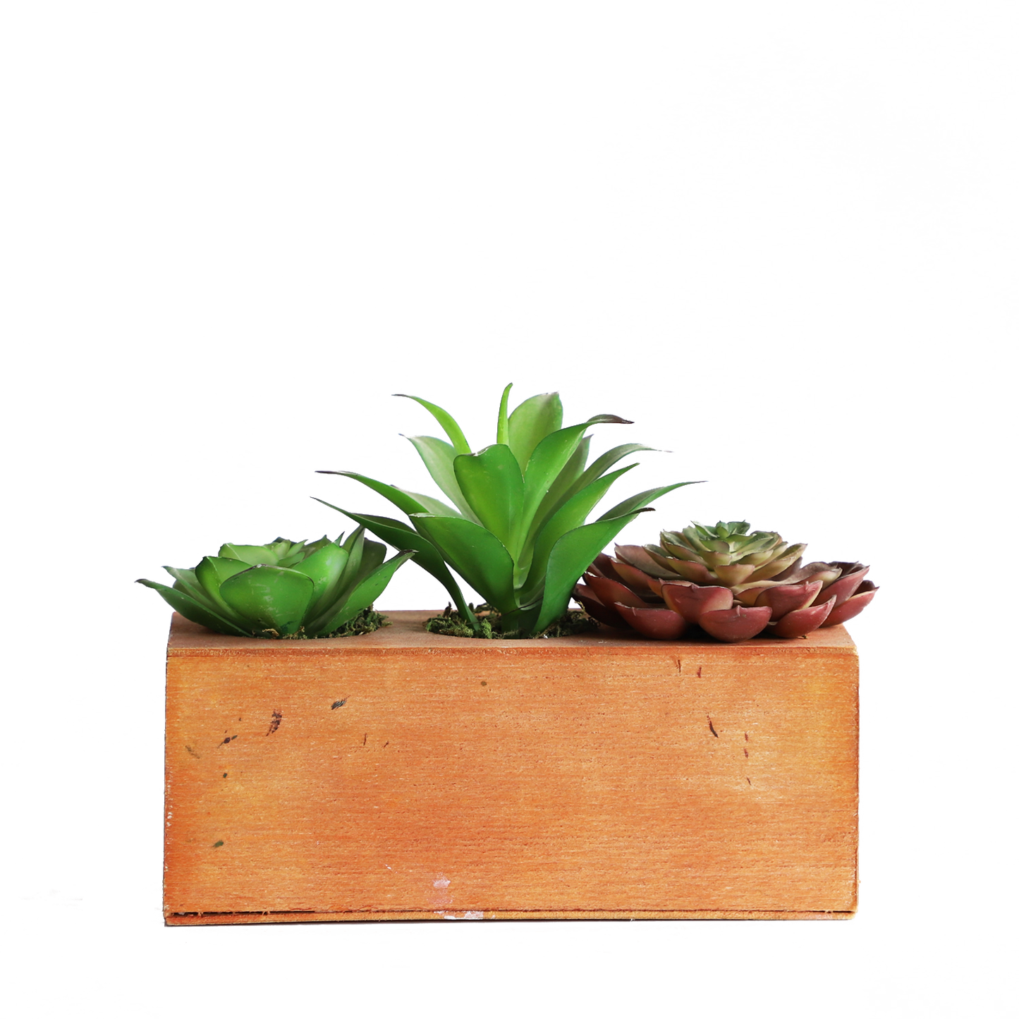 KA818A72-Artificial succulents in art pot-20x8x15cm