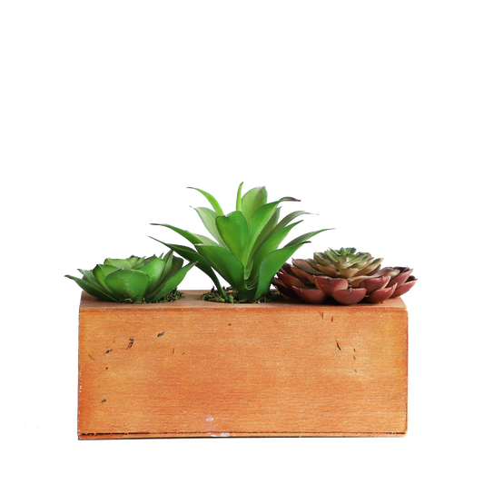 KA818A72-Artificial succulents in art pot-20x8x15cm