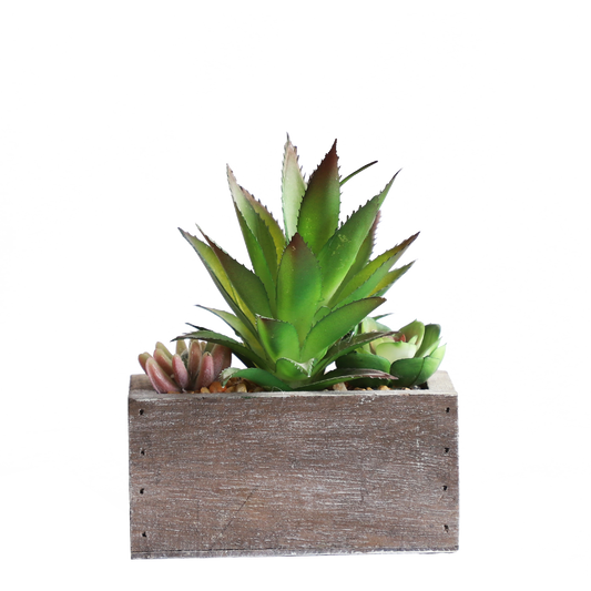 KA818A73-Artificial succulents in art pot-13x6.5x15cm