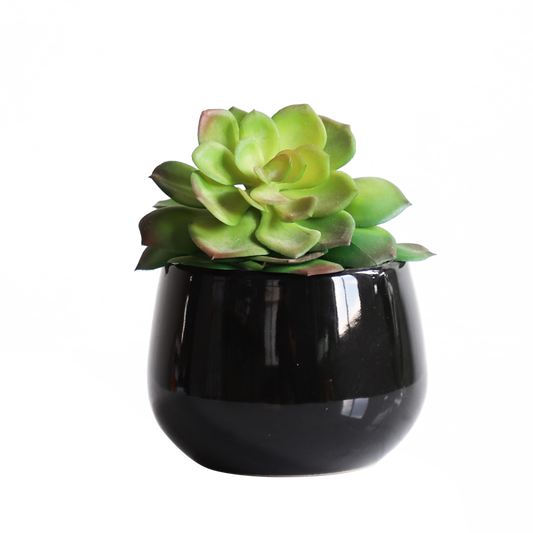 KA818A74-Artificial succulents in art pot-10x10x11cm