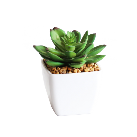 KA818A75-Artificial succulents in art pot-7x7x10cm