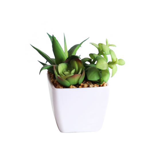 KA818A76-Artificial succulents in art pot-7x7x11cm