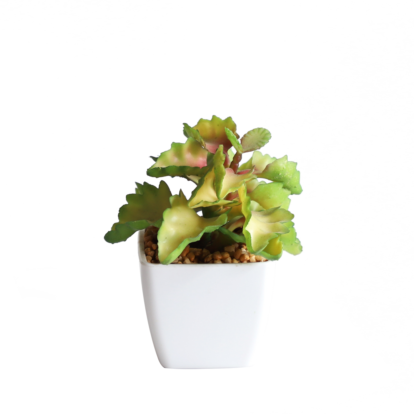 KA818A77-Artificial succulents in art pot-7x7x13cm