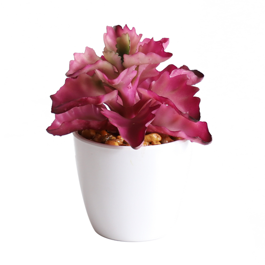 KA818A80-Artificial succulents in art pot-7.5x7.5x13cm