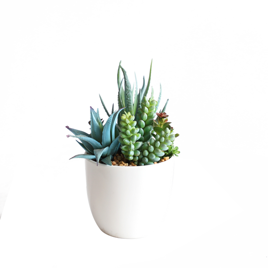 KA818A81-Artificial succulents in art pot-8x8x17cm