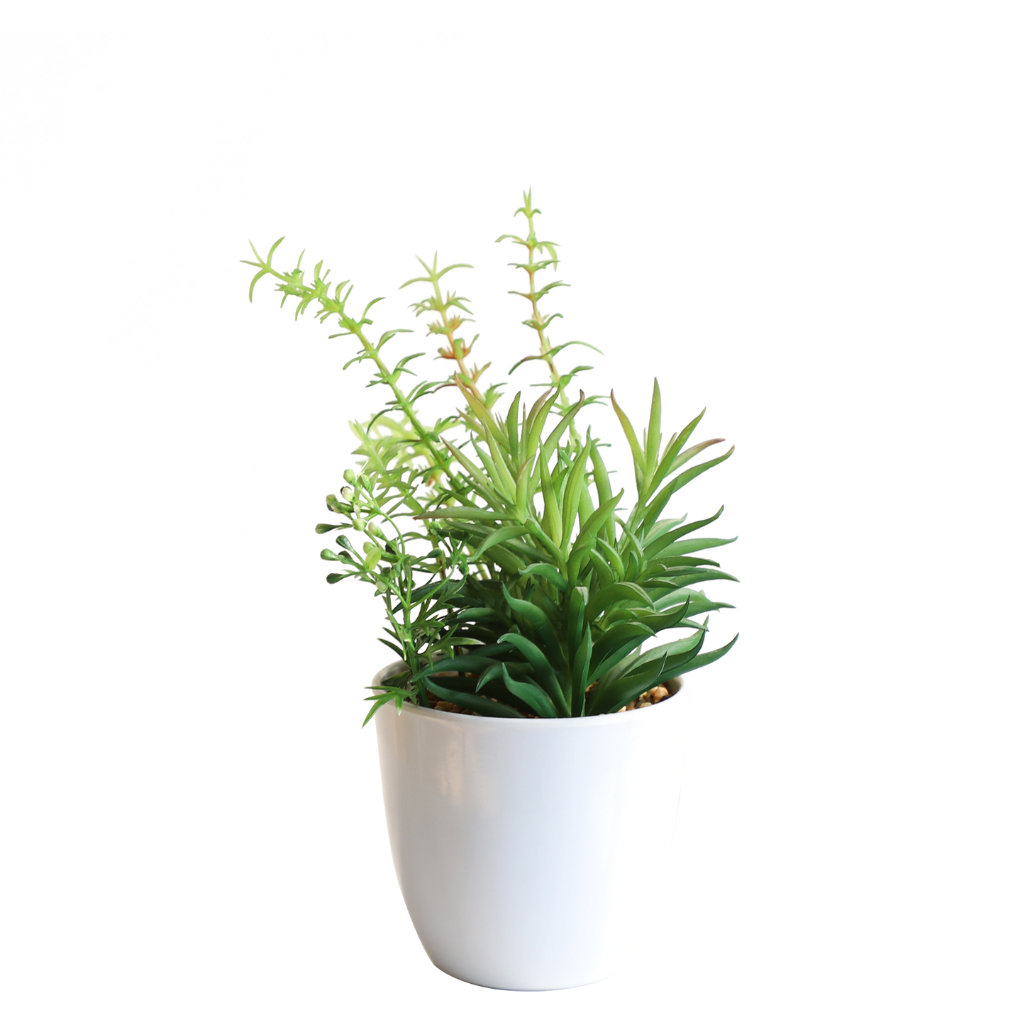 KA818A84-Artificial succulents in art pot-9x9x22cm