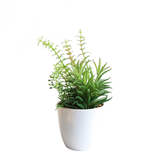 KA818A84-Artificial succulents in art pot-9x9x22cm