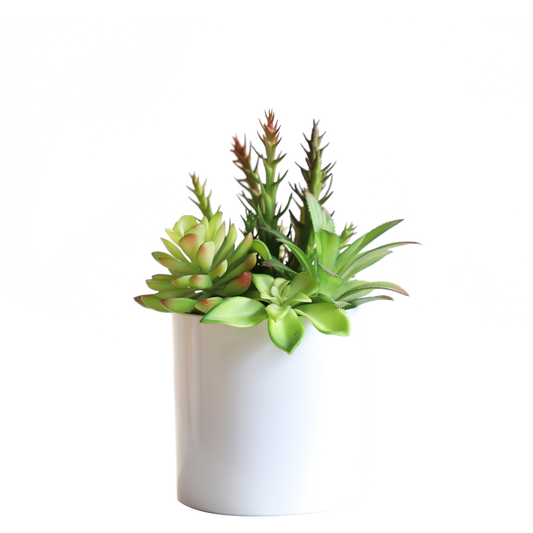 KA818A86-Artificial succulents in art pot-10x10x21cm