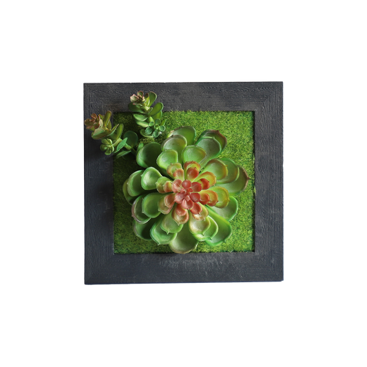 KA818A87-Artificial succulents in frame-15x15cm