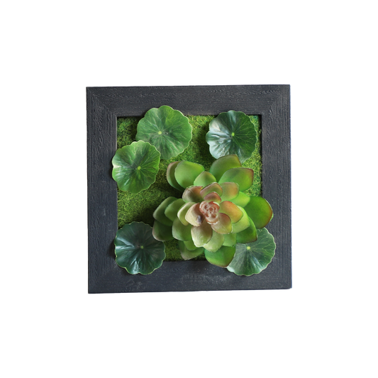 KA818A88-Artificial succulents in frame-15x15cm