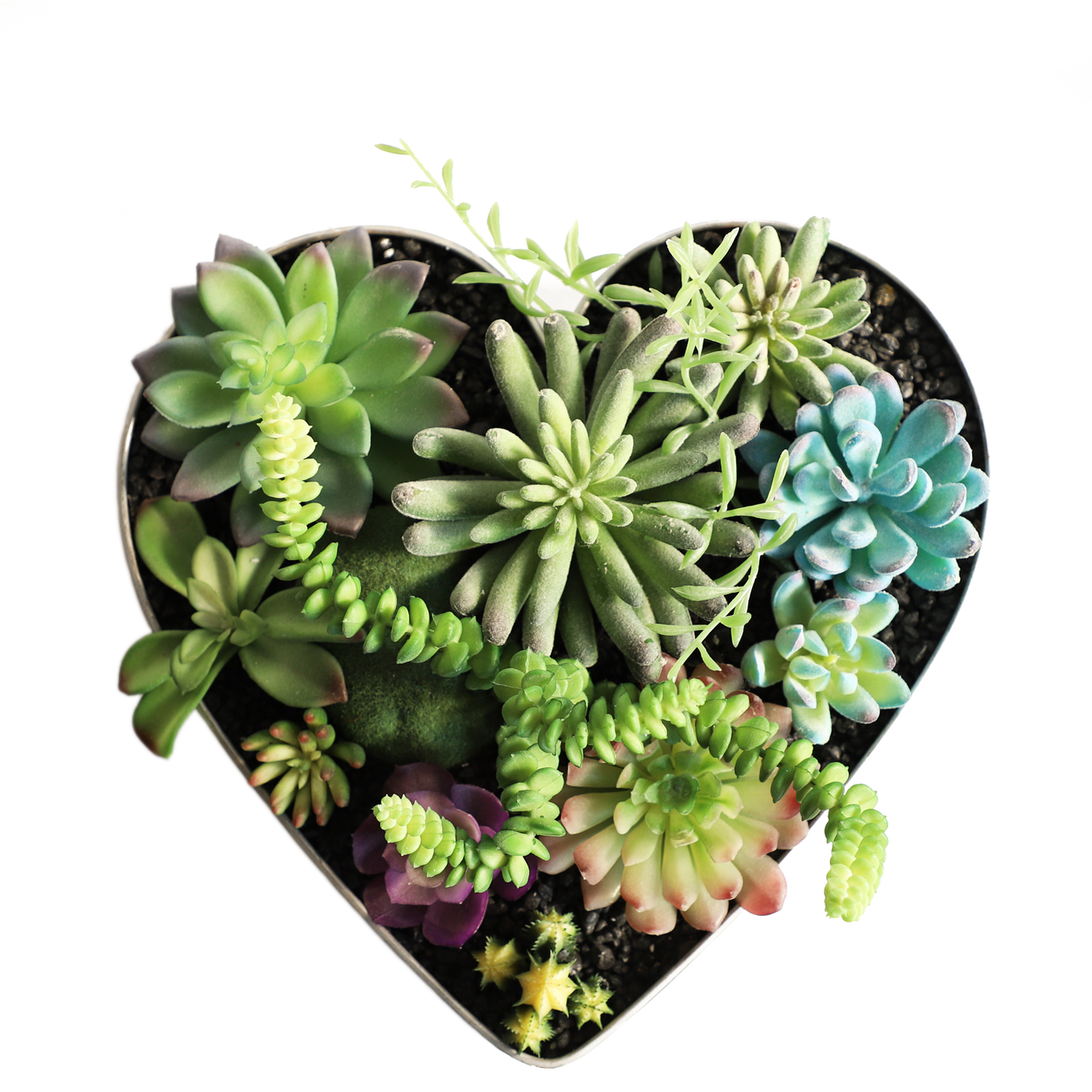 KA818A90-Artificial succulents in frame-15x17x21cm