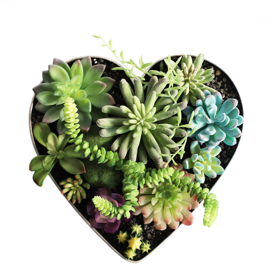 KA818A90-Artificial succulents in frame-15x17x21cm