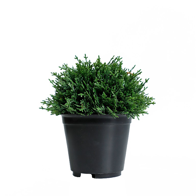 KB-006P-Artificial grass bonsai with pot-H13cm
