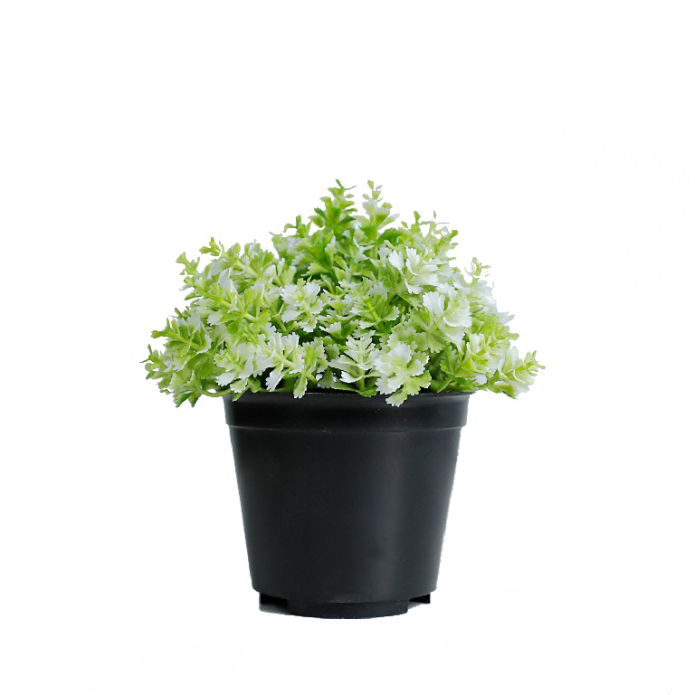 KB-009P-Artificial grass bonsai with pot-H14cm