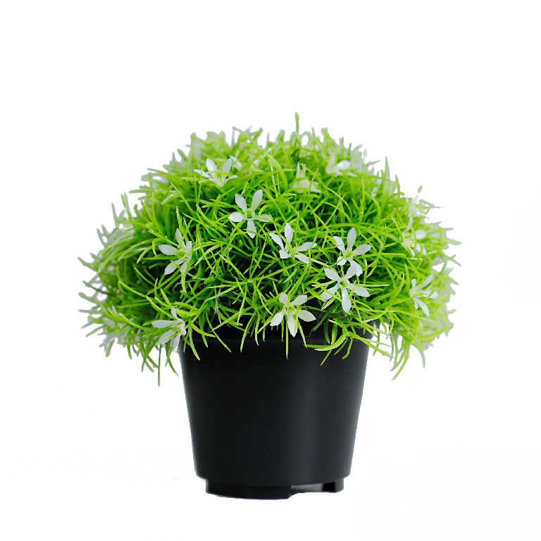 KB-010P-Artificial grass bonsai with pot-H15cm