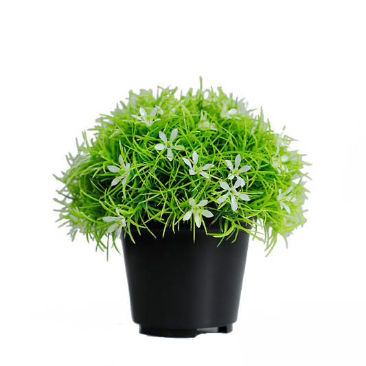 KB-010P-Artificial grass bonsai with pot-H15cm