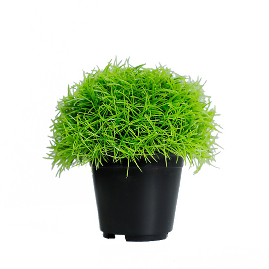 KB-011P-Artificial grass bonsai with pot-H15cm