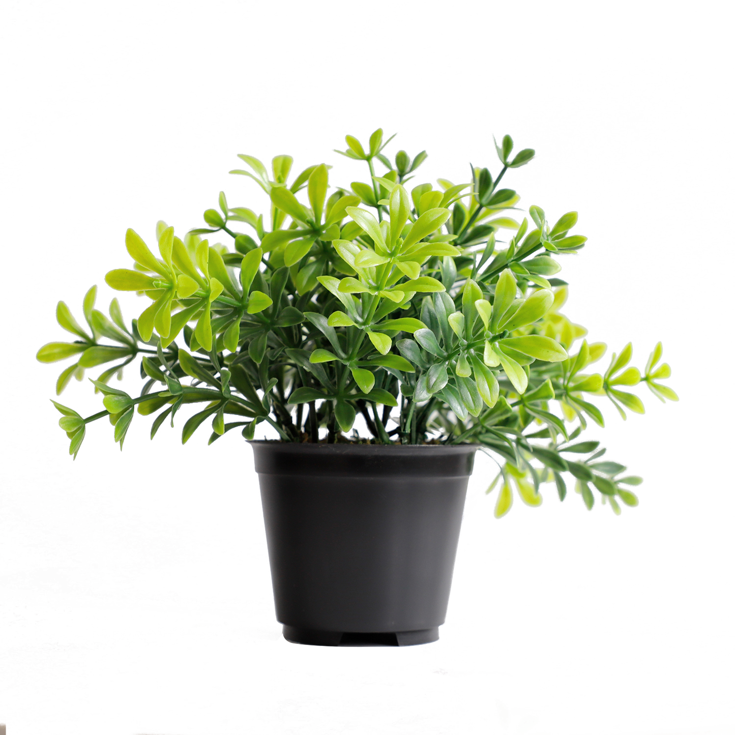 KB-012P-Artificial grass bonsai with pot-H17cm