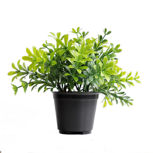 KB-012P-Artificial grass bonsai with pot-H17cm