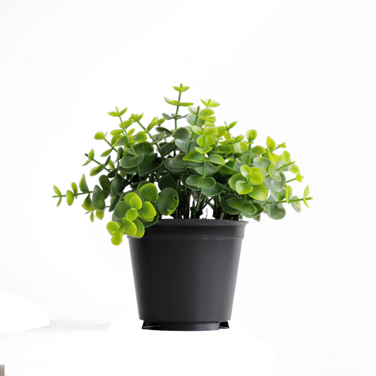 KB-013P-Artificial grass bonsai with pot-H15cm