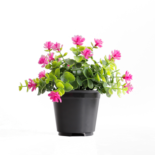 KB-014P-Artificial grass bonsai with pot-H15cm