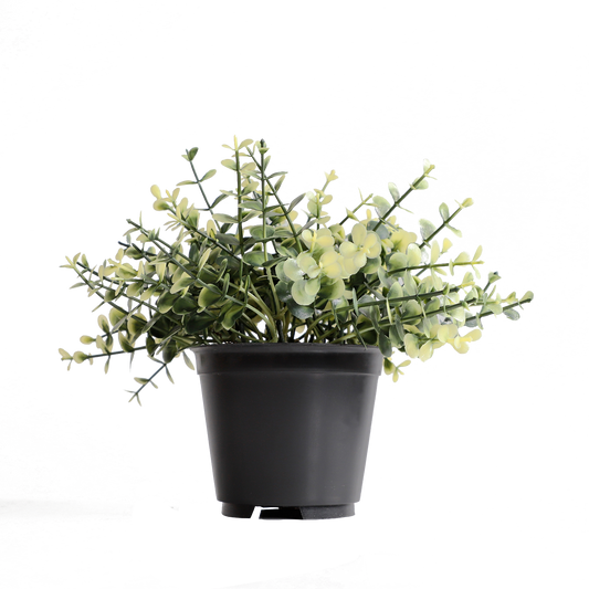 KB-015P-Artificial grass bonsai with pot-H17cm