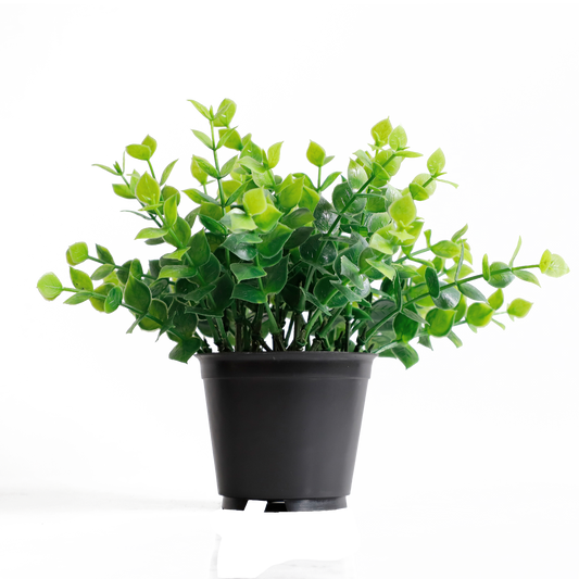 KB-017P-Artificial grass bonsai with pot-H18cm