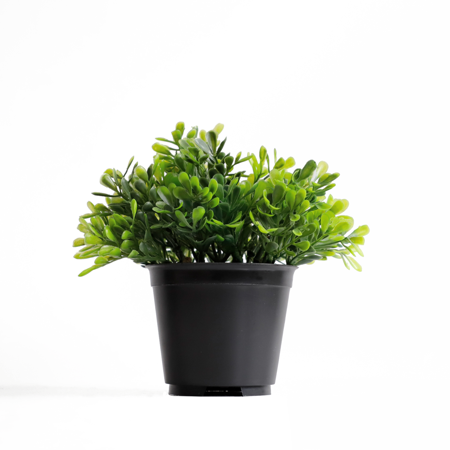 KB-018P-Artificial grass bonsai with pot-H15cm