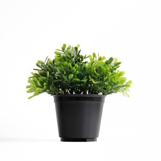KB-018P-Artificial grass bonsai with pot-H15cm