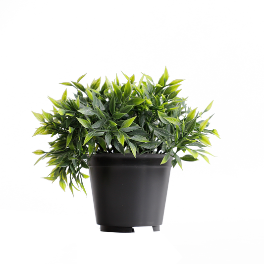 KB-019P-Artificial grass bonsai with pot-H15cm