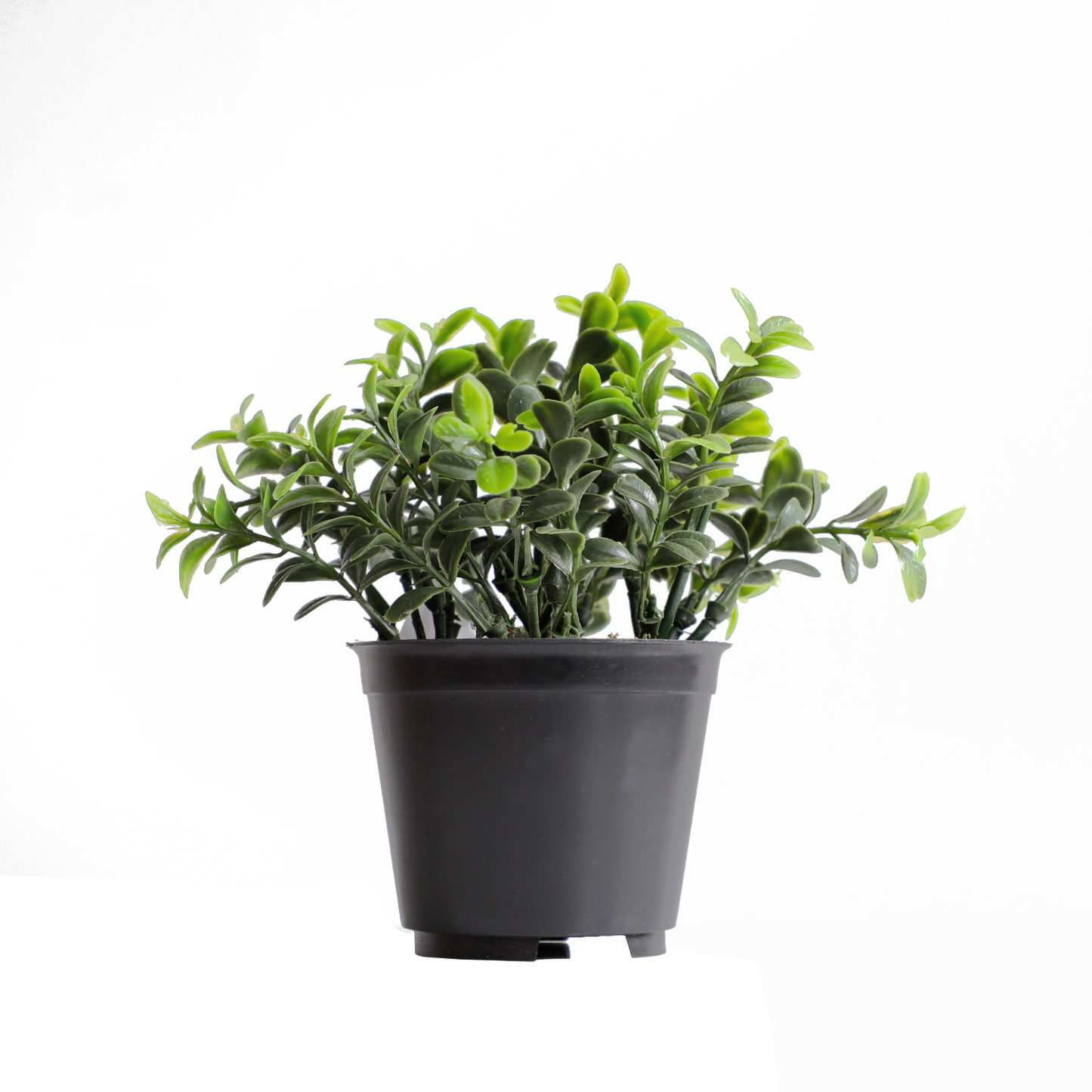 KB-020P-Artificial grass bonsai with pot-H15cm