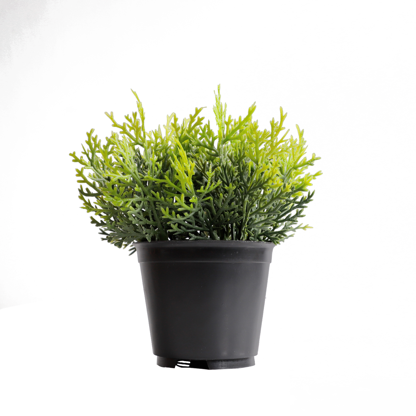 KB-021P-Artificial grass bonsai with pot-H16cm