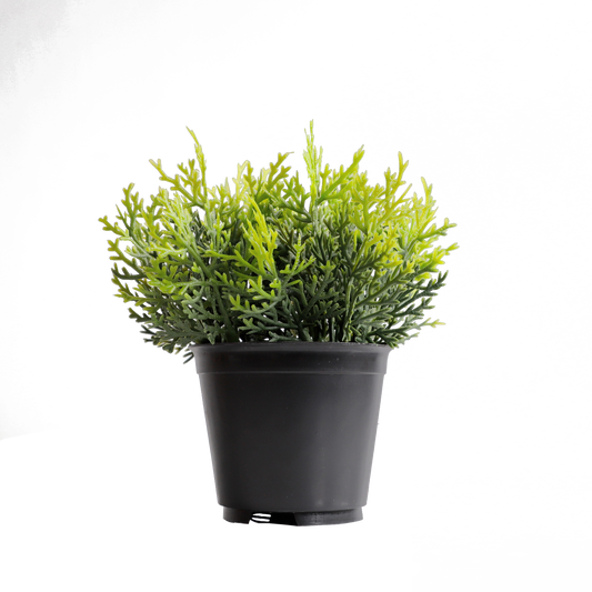 KB-021P-Artificial grass bonsai with pot-H16cm